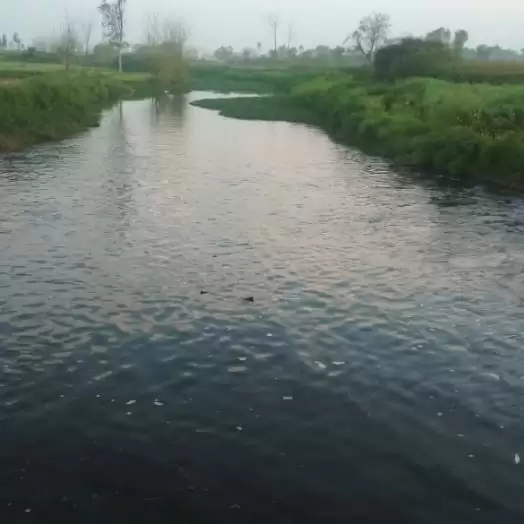 जान जोखिम में डालकर नदी पार कर खेती कर रहे बागपत के किसान