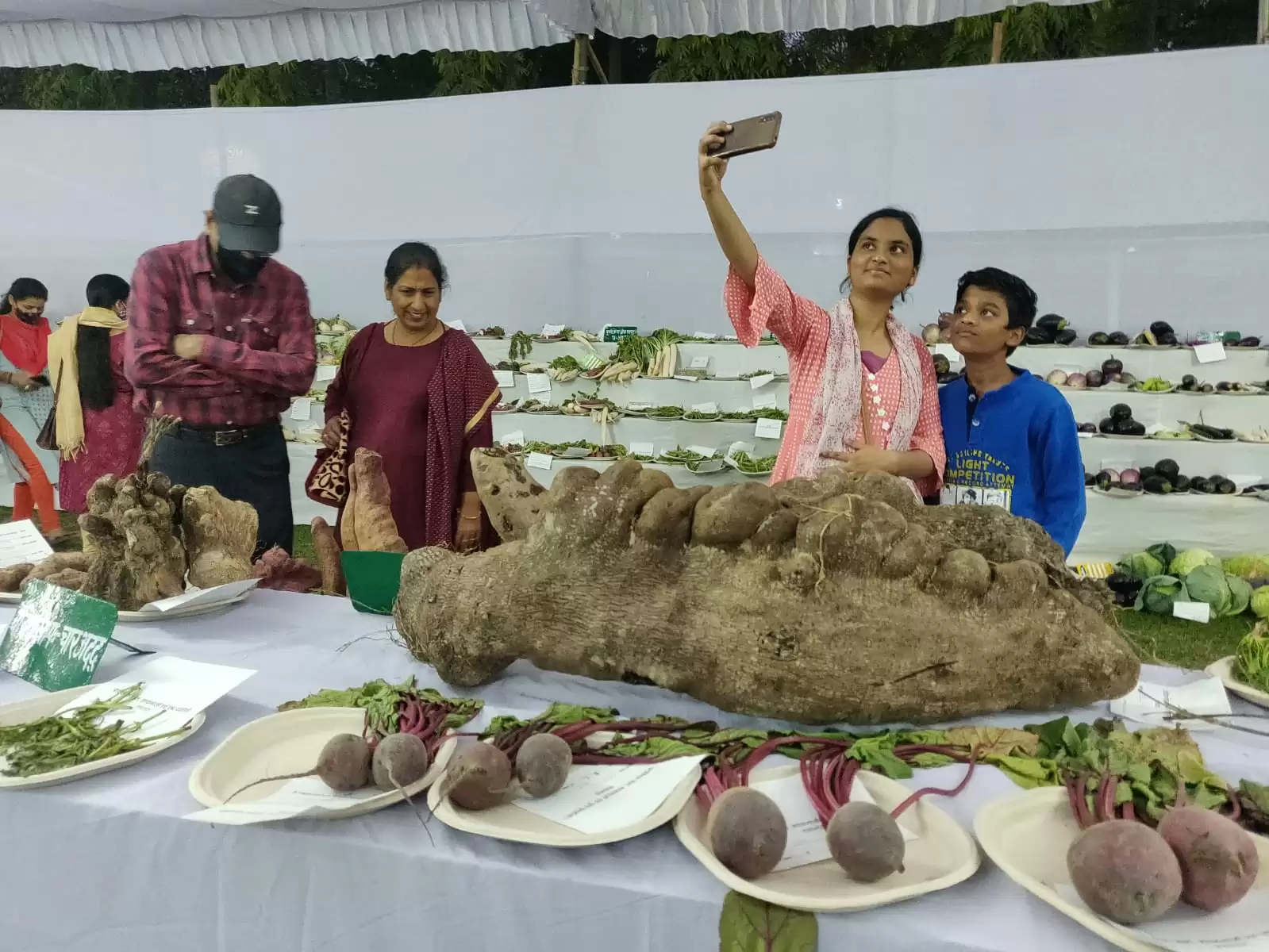 गमले में मुस्कुरा रहे कद्दू और गाठ गोभी