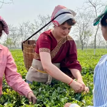 चुनाव प्रचार के दौरान असम में मज़दूरों संग प्रियंका वाड्रा ने तोड़ीं चाय की पत्तियां