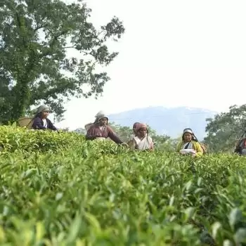 मेघालय घूमने का प्लान है तो, इन जगहों में घूमना न भूलें