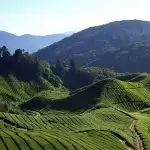 खूबसूरत वादियों में घूमने का मज़ा ही कुछ और है, जानिए यहाँ के खास बातें