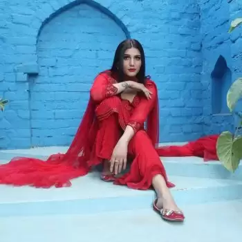 सपना चौधरी  ने मचाया धमाल, देखिये उनका ये स्टाइलिश अवतार