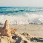 World Tourism Day Special: कोरोना में जा रहे है घूमने तो इन बातों का ध्यान रखे