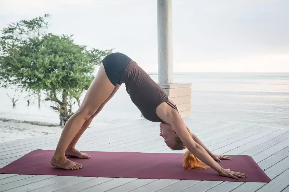 Adhomukhi Svanasana