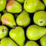 Pear Health Benefits: जाने नाशपाती के बेमिसाल फायदे!!