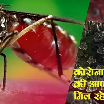 कोरोना के साथ डेंगू की आफत, धड़ाधड़ मिल रहे मरीज