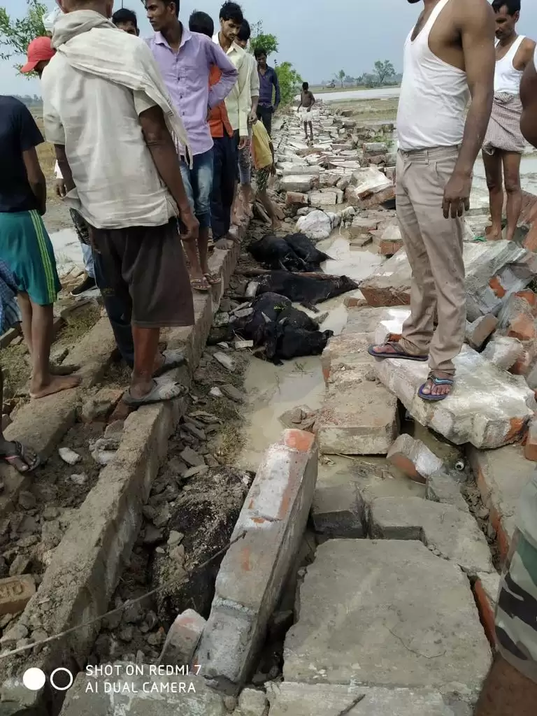 कानपुर समेत 14 जिलों में बारिश, ओले गिरने से लोग हुए घायल