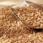 Uttarpradesh News: गेहूं खरीद के लिए बने 40 क्रय केन्द्र, 2015 प्रति कुंतल की दर से होगी खरीद