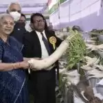 गमले में मुस्कुरा रहे कद्दू और गाठ गोभी