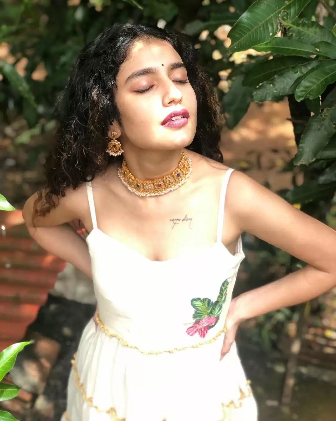 Priya Prakash Varrier की अदाओं ने लगाई इंटरनेट पर आग, देखे तस्वीरें