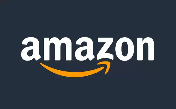 ई-कॉमर्स साइट Amazon ने लॉन्च किया मेड इन इंडिया Toy Store, जाने इसमें क्या होगा खास
