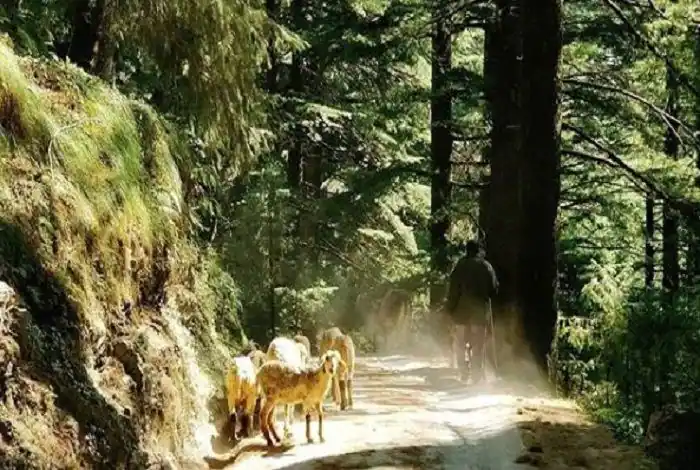 जन्नत से कम नहीं है हिमाचल के ये खूबसूरत स्थान