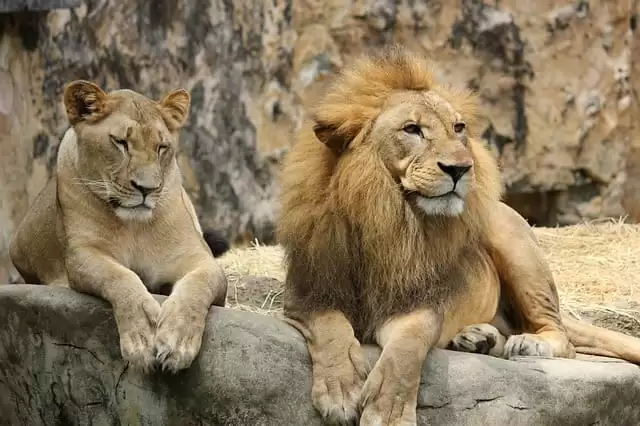 बेहद कमाल है गुजरात की ये जगहें, ट्रिप होगी मज़ेदार