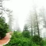 ओडिशा के इस खूबसूरत हिल स्टेशन में देखने को मिलता है अनूठा संगम
