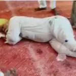 कृषि विधेयकों के विरोध में किसान ने खाया ज़हर