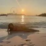 Mouni Roy ने फिर बिखेरी अदाएं , फैंस बोले- ‘हुस्न का जलवा’