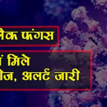 ब्लैक फंगसः मेरठ में मिले 16 मरीज, अलर्ट जारी