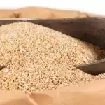 बनाये जौ का दलिया, स्वास्थ्य के लिए है फायदेमंद, यहां जाने रेसिपी