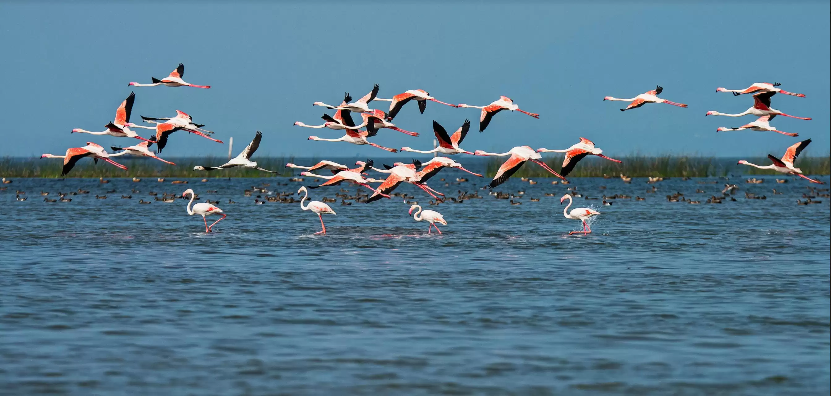 Beautiful Lakes in India
