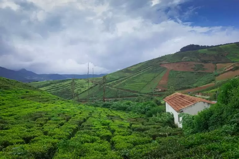 इस हिल स्टेशन की वादियां में आप गुम हो जायेगे, बेहद ही सुंदर है ये हिल स्टेशन