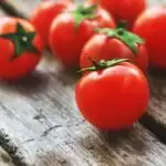 रसोई Bytes: टमाटर से बनाए ये स्पेशल रेसिपी भरवां टमाटर!!
