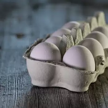 बालों की सभी समस्याओं को दूर करेगा अंडे का मास्क, जाने कैसे