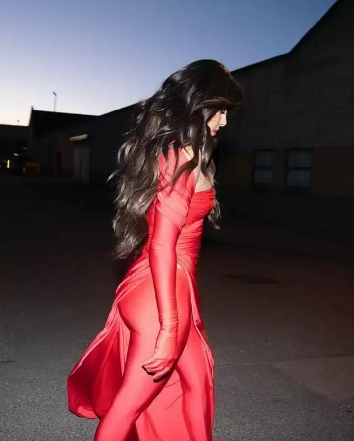 Priyanka Chopra की ये लेटेस्ट तस्वीरें उड़ा रहीं फैंस के होश, देखिये तस्वीरें