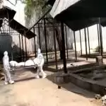 मेरठ में अमानवीयता,3 दिन पहले हुई मौत अब हो सका दाहसंस्कार