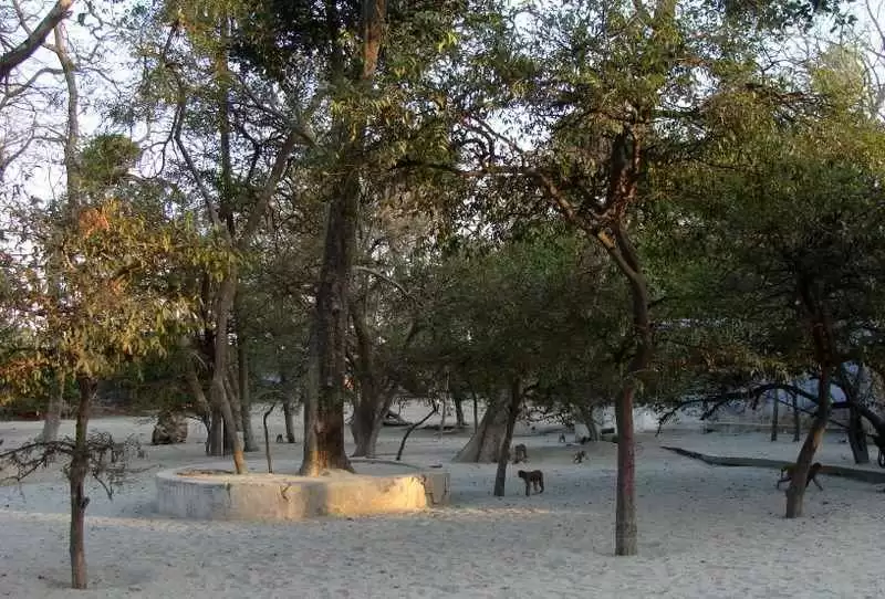 टटिया स्थान- जहाँ आज भी है श्री कृष्ण का वास, करते हैं यहीं विश्राम