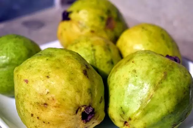 पके हुए अमरूद से बनाएं हलवा, यहां जाने रेसिपी