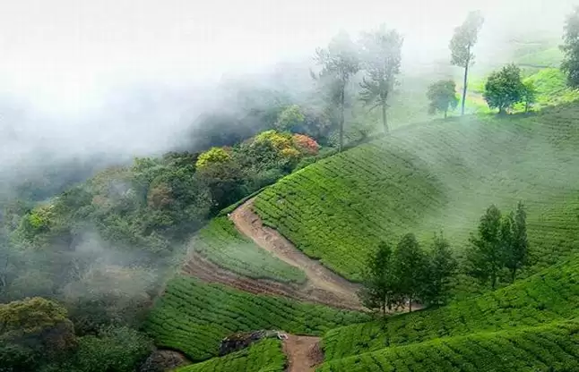 इस हिल स्टेशन की वादियां में आप गुम हो जायेगे, बेहद ही सुंदर है ये हिल स्टेशन