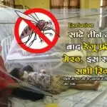 Exclusive : साढ़े तीन महीने बाद डेंगू फ्री हुआ मेरठ, इस साल टूटे सभी रिकॉर्ड