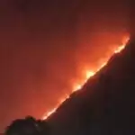 Dehradun News: कौड़िया के जंगल में लगी भीषण आग,वन विभाग के बस से बाहर हुई बात