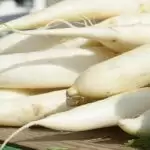 Radish Health Benefits: जाने मूली खाने के बेहतरीन फायदे!