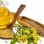 क्या आप जानते हैं सरसों से जुड़ी ये बातें, जो आपके लिए हैं लाभदायक…