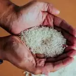 चीन ने भारत से चावल की खरीद शुरू की, पिछले तीस वर्षों में पहली बार हुआ ऐसा