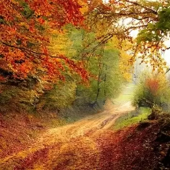 दुनिया की सबसे खूबसूरत जगहें, दिल चुरा लेगी यहां की खूबसूरती