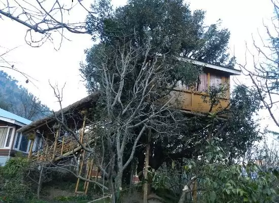 कुछ खास अनुभव करना चाहते है तो इन ट्री हाउस में घूमने का प्लान बनाएं