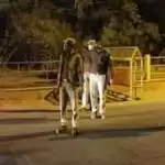 वीकेंड कर्फ्यू के लिए दिल्ली पुलिस ने लिया सोशल मीडिया का सहारा
