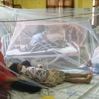 लखनऊ में डेंगू मरीजों की संख्या अन्य शहरों के मुकाबले ज्यादा, घर-घर पहुंच रही हेल्थ टीम