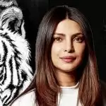 प्रियंका-राजकुमार अभिनीत फिल्म द व्हाइट टाइगर का ट्रेलर रिलीज