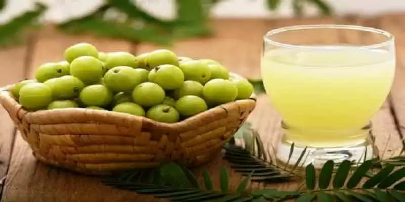 यह अद्भुत चाय है बेहद कमाल, डायबिटीज और मोटापा करती है कम