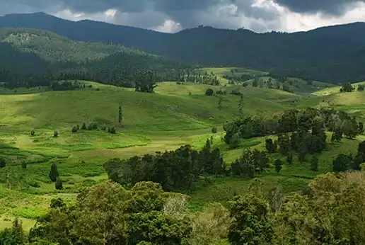 इस हिल स्टेशन की वादियां में आप गुम हो जायेगे, बेहद ही सुंदर है ये हिल स्टेशन
