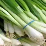 अपने आहार में शामिल कीजिए green onions को ,होंगे ये लाभ!
