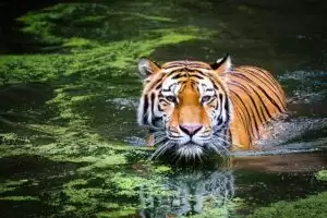 UP Famous Tourist Places: यूपी के मशहूर पर्यटन स्थल, एक बार जरूर जाए!