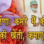 प्रेरणाः कमरे में की केसर की खेती, कमाए लाखों