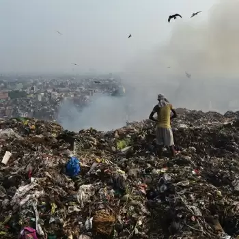 प्लास्टिक के बढ़ते हानिकारक प्रभाव को रोकने के लिए क्या है सरकार का कदम- जानिए क्या है वेस्ट टू वेल्थ नीति