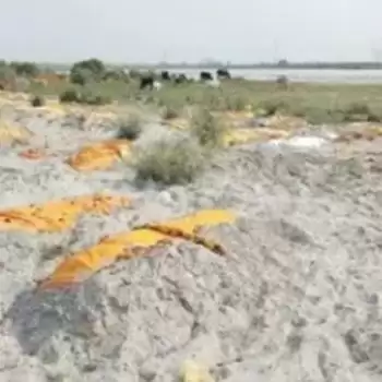 अंतिम संस्कार की जगह गंगा की रेत में दफनाए जा रहे शव