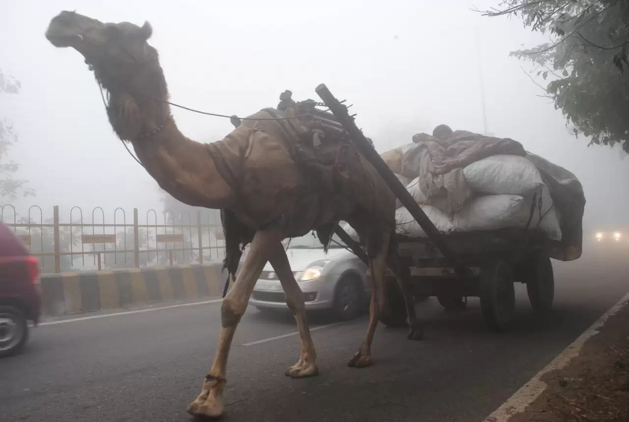 वेस्ट यूपी में बढ़ा सर्दी का सितम, सुबह-शाम छूट रही कंपकपी