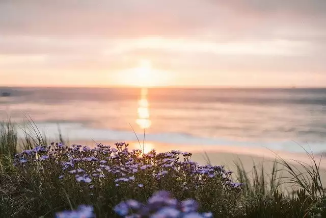 Beaches in South India
